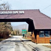 БАИНА БАЩА, река ДРИНА, национален парк ТАРА и ДЪРВЕН ГРАД — снимка 6
